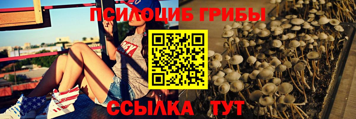 Псилоцибиновые грибы GOLDEN TEACHER  Вход с VPN  Новокуйбышевск 